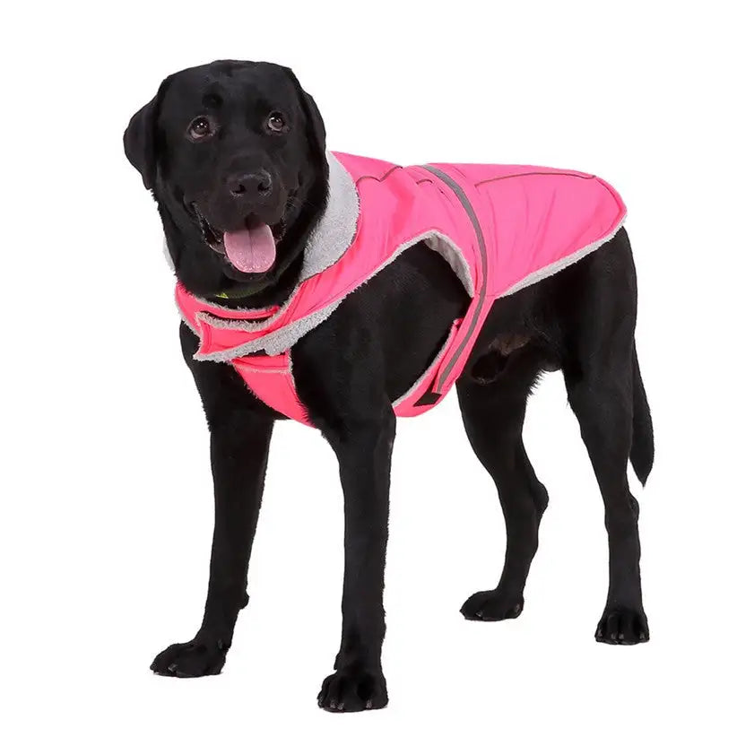 Pet clothes winter clothes night reflective pet clothes - Lootquake
