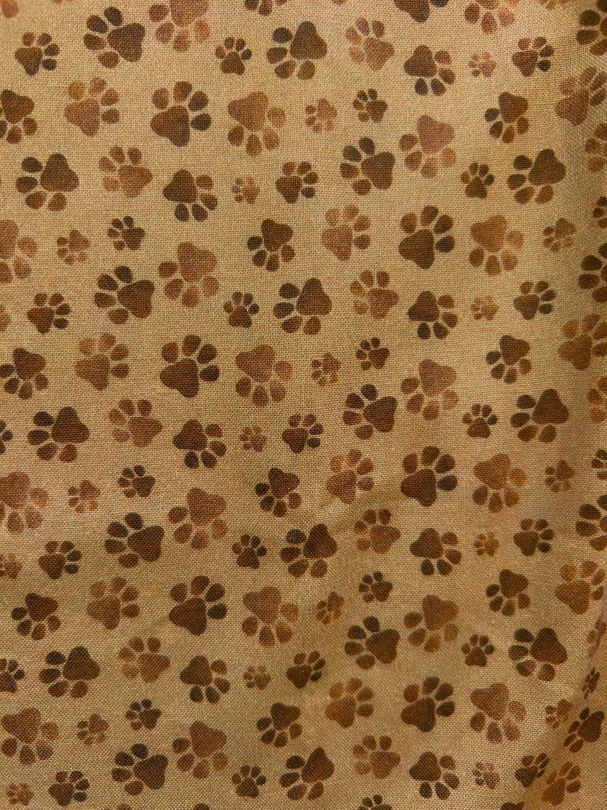 Top con lazo y estampado de patas