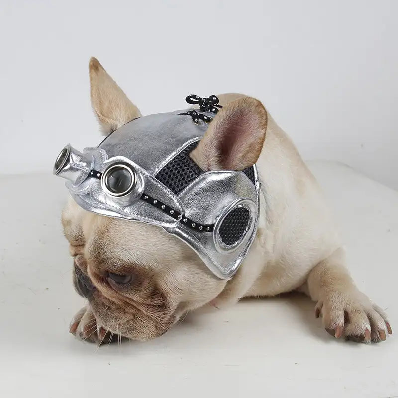 Pet Products Party Dress Fight - Lootquake