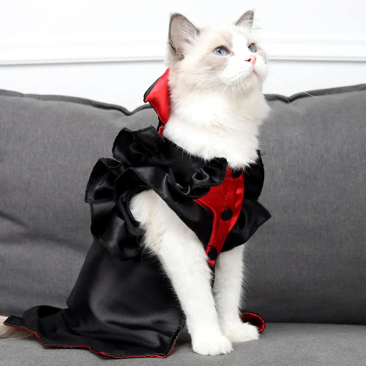 Cat Halloween Vampire Transformation Costume - Lootquake