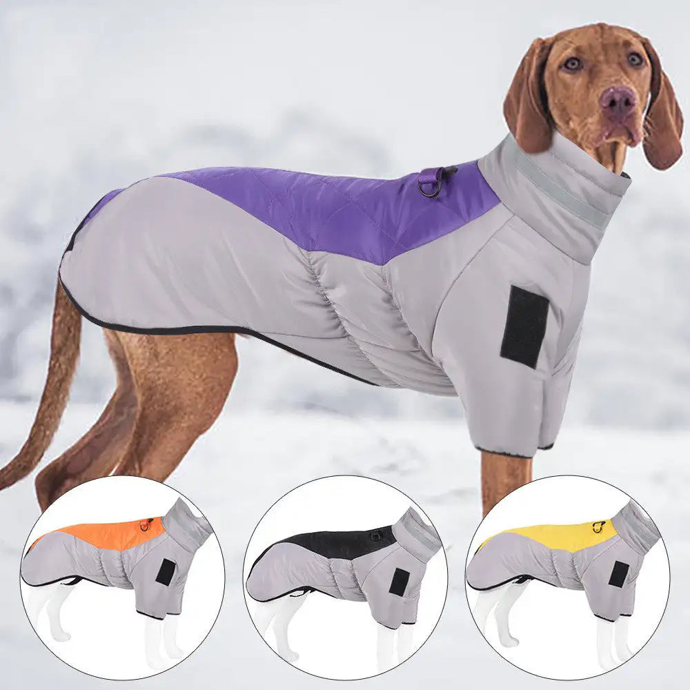 New Pet Dog Clothes Thickened With Reflective Warmth Pet Supplies - Lootquake