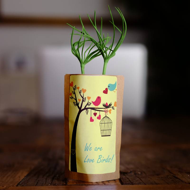 Nurture Our Roots with 100 Trees – “We Are Love Birds”-0