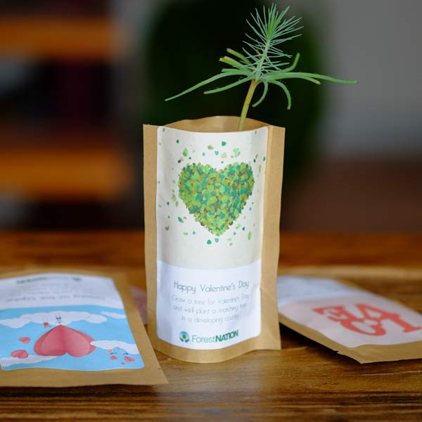 Tree Pouch Custom Branding-0