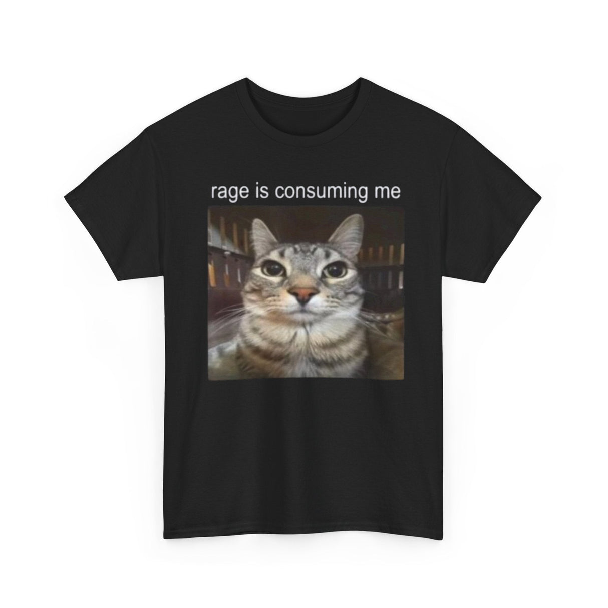 Camiseta divertida con meme de gato "Rage Is Consumption Me" (La ira me consume): divertida camiseta con gráfico de gato enojado para hombre y mujer