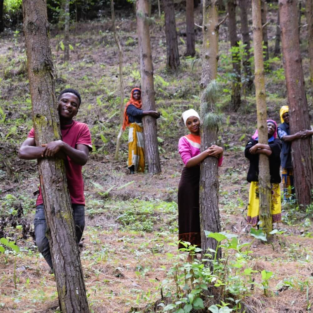 Happy Kwanzaa Candles Growing Kit