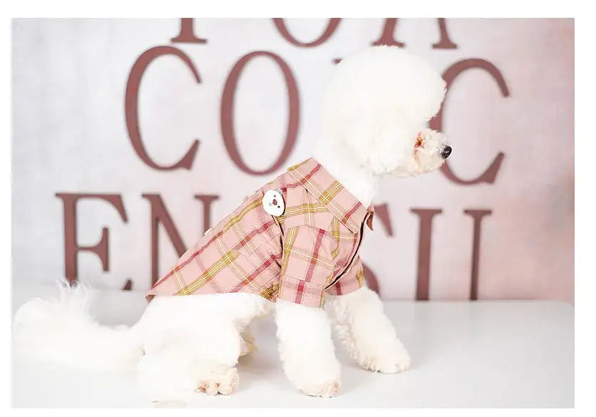 Clothes for pets - Lootquake