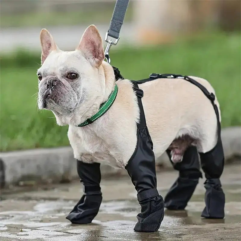 Waterproof Dog Shoes Adjustable Dog Boots Pet Breathbale Shoes For Outdoor Walking Soft French Dog Shoes Pets Paws Protector Pet Products - Lootquake