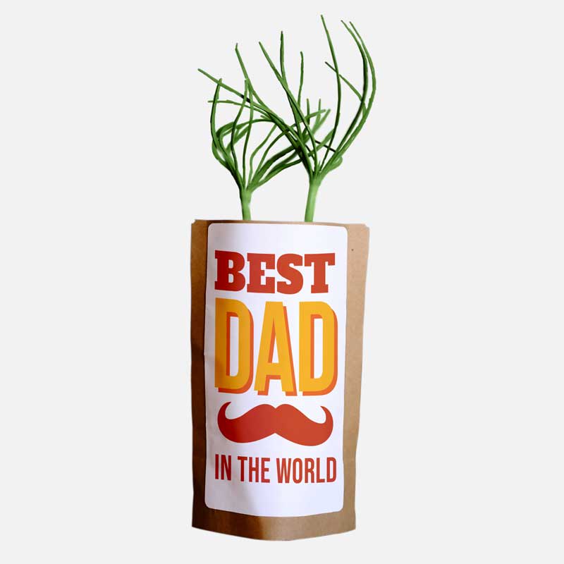 Best Dad in the World-1