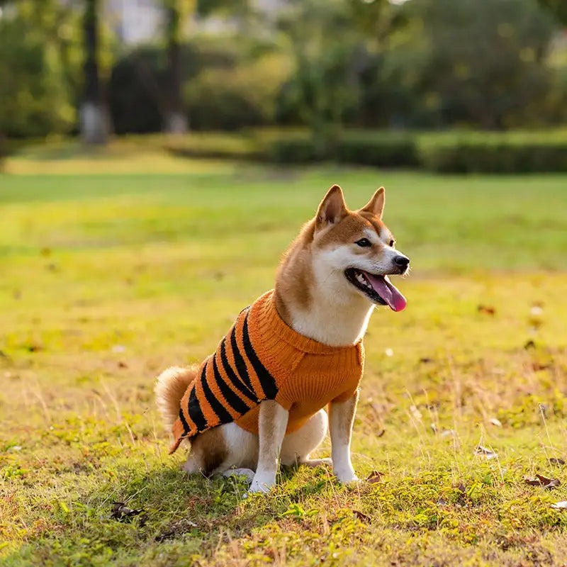 Halloween Dog Sweaters Pet Costume Teddy Warm Leisure Sweater Cosplay Clothes For Dogs Pets Outfits - Lootquake