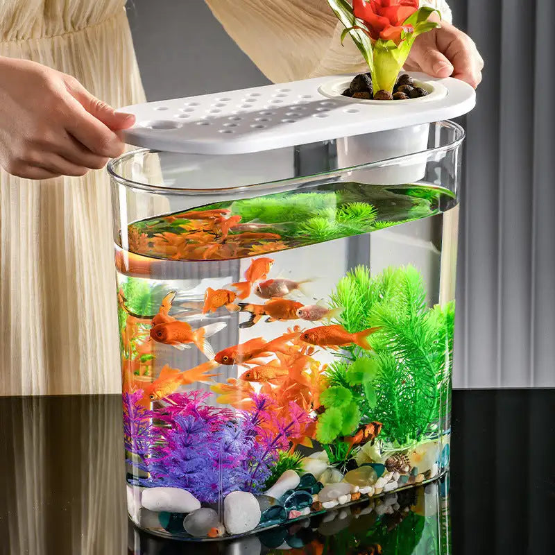Acrylic Transparent Ecological Incubator Goldfish Tank - Lootquake