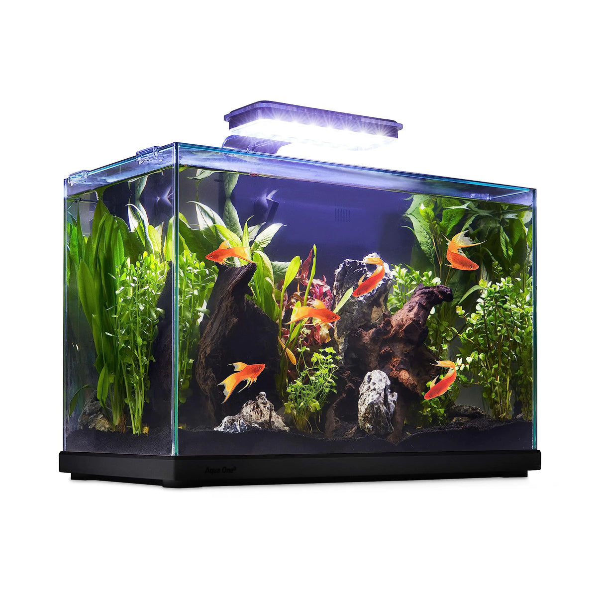 imagitarium Glass Versa Aquarium 9.5 Gallons - Lootquake