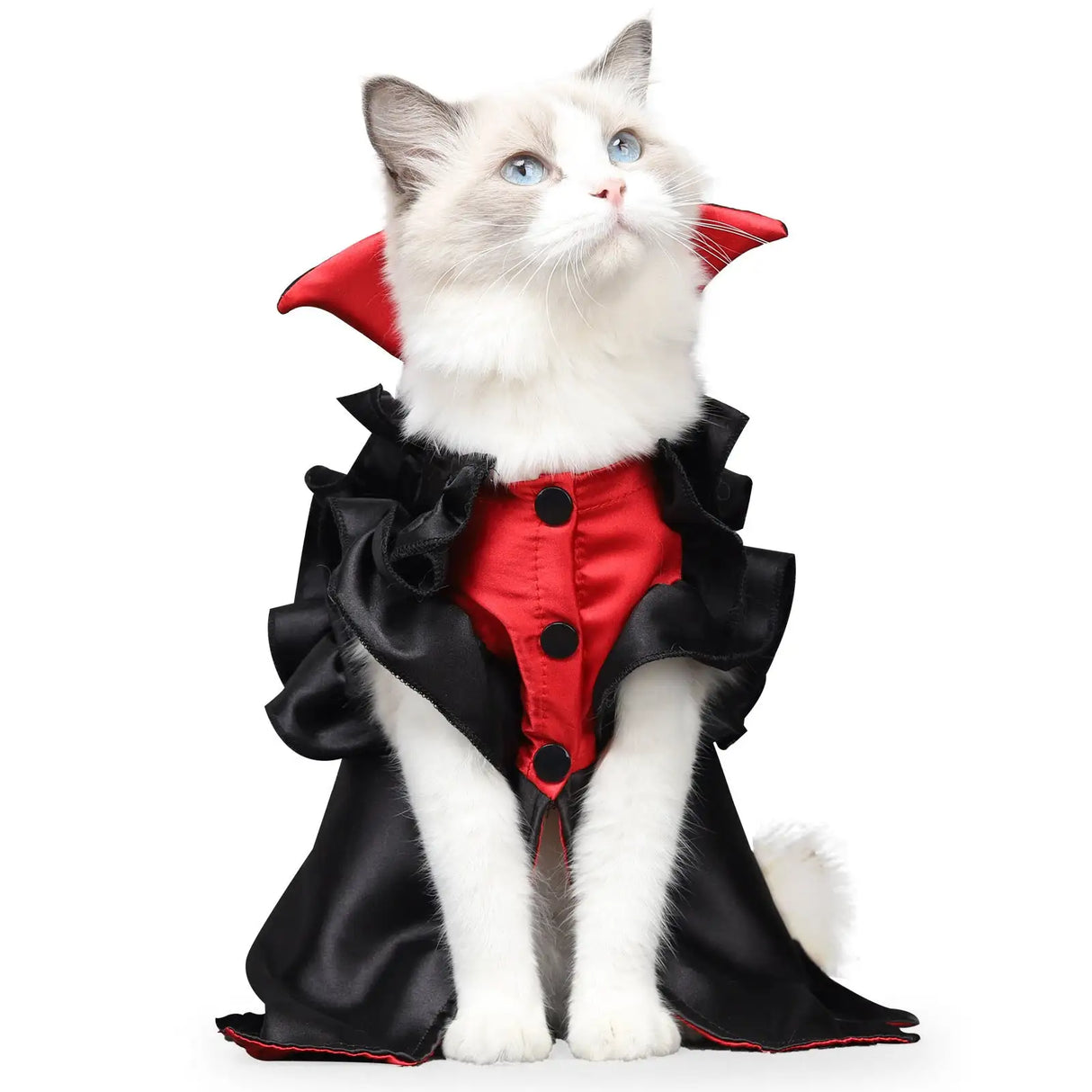 Cat Halloween Vampire Transformation Costume - Lootquake