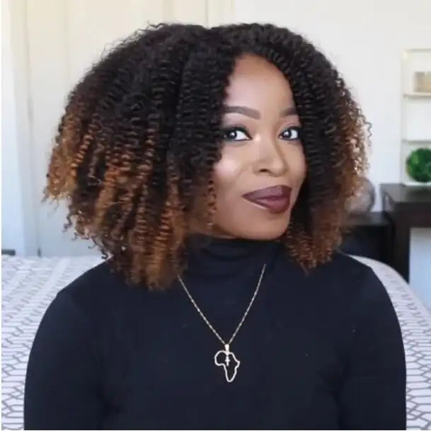 Wig short curly hair explosion head small curly wig wig - Lootquake