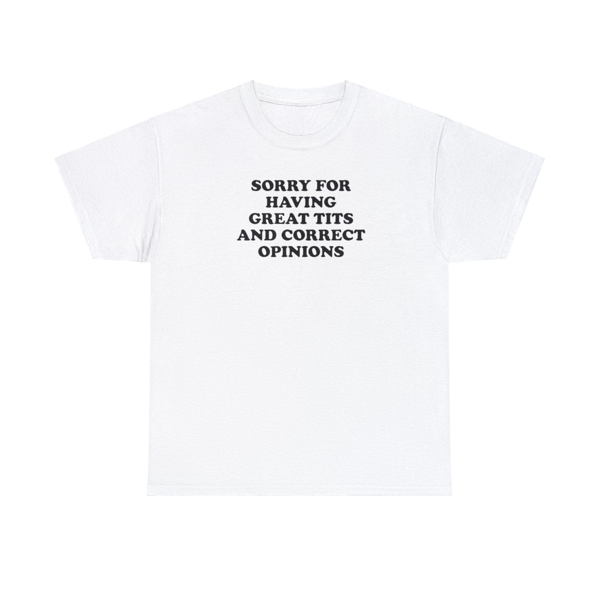 SORRY FOR HAVING GREAT TITS AND CORRECT OPINIONS T-SHIRT