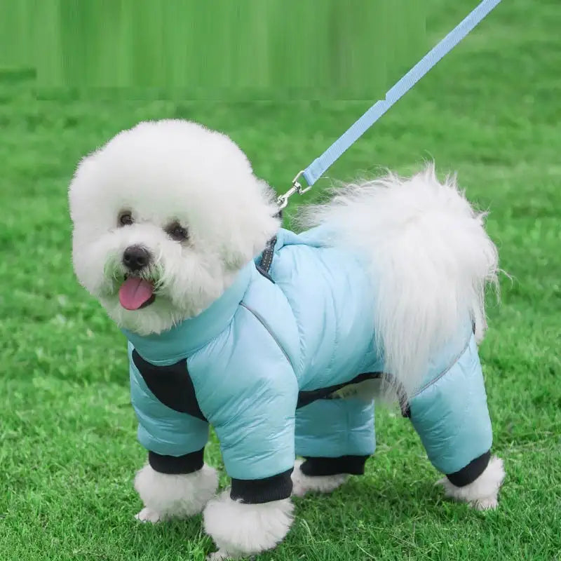 Pet Anti-light Warm New Article Clothing Winter Dog Down Jacket Waterproof Pets Clothes For Small Dogs - Lootquake