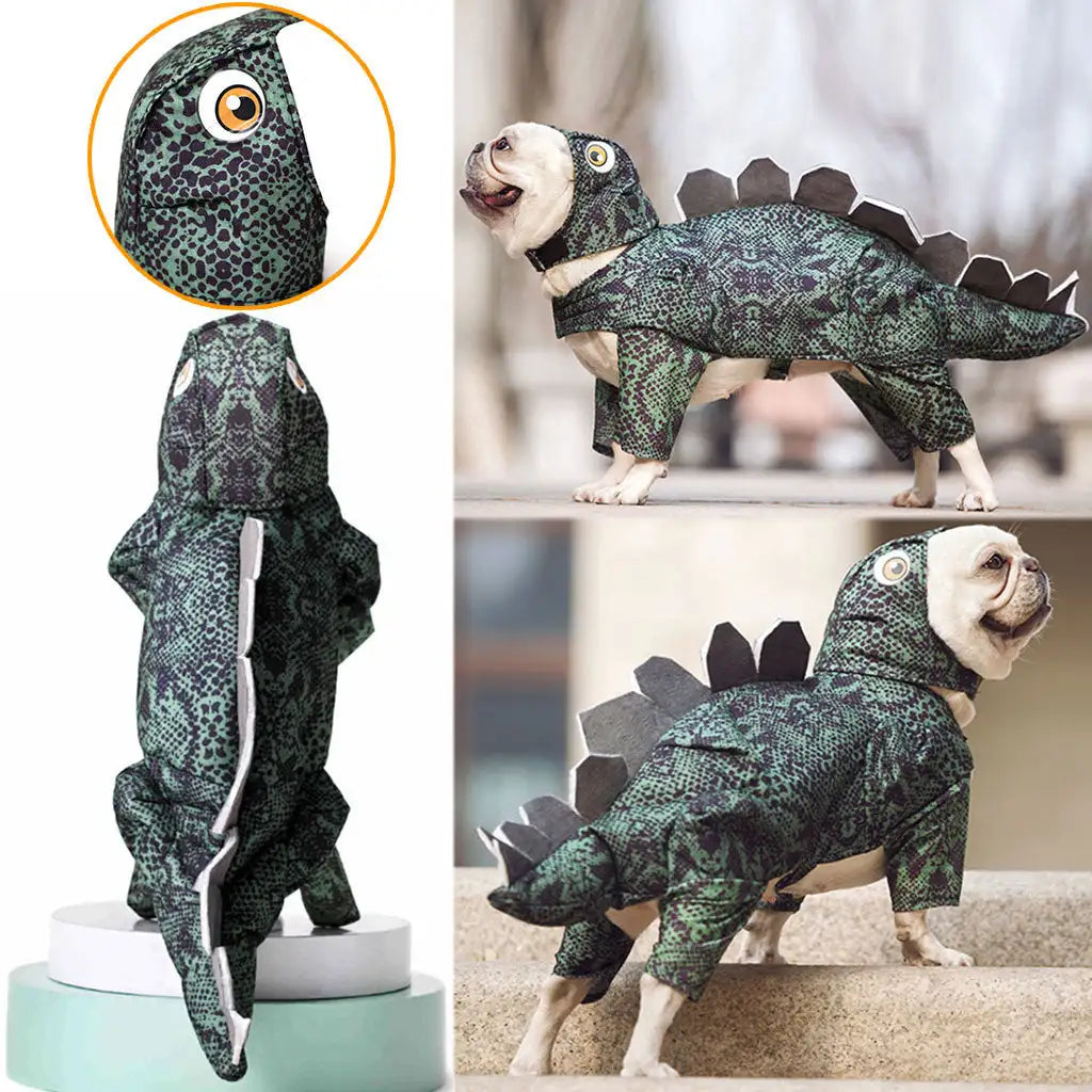 Pet dinosaur clothes - Lootquake