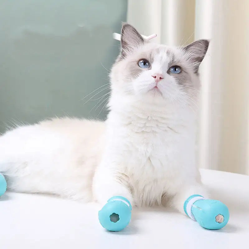 Adjustable Cat Foot Claw Cover Anti-Scratch Prickly Nail Glove Cat Boots For Cats Only, Anti-Scratch Cat Feet Claw Covers Adjustable Prickly Anti-Off Shoes Nail Glove - Lootquake