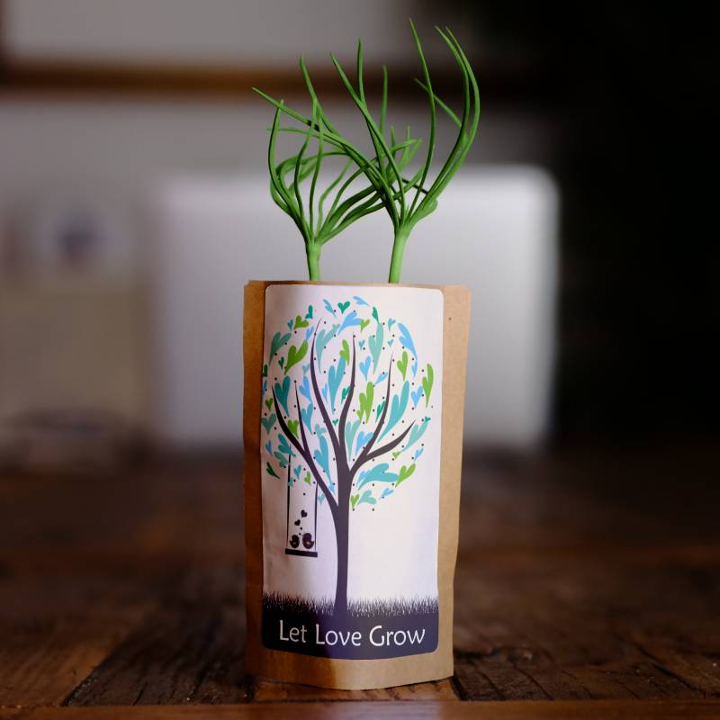 Nurture Our Roots with 100 Trees – “Let Love Grow”-0