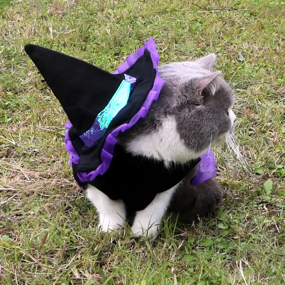 Christmas Wizard Pet Halloween Dog Clothes Pet Clothes - Lootquake