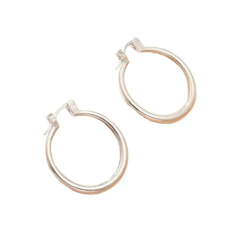 Eye-catching Accessories Fashion Simple Glossy Big Circle Earrings - Lootquake