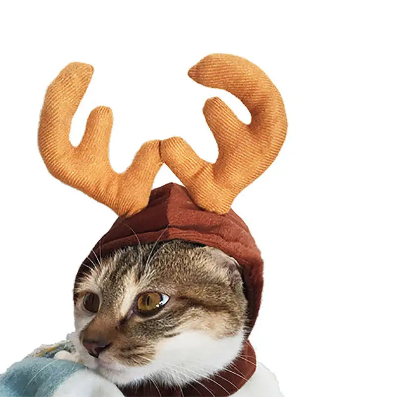 Cute Dog Cat Costume Christmas Cloak Halloween Disguise Cat - Lootquake
