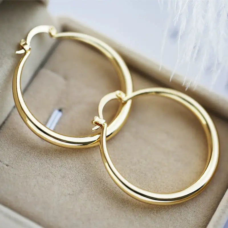 Eye-catching Accessories Fashion Simple Glossy Big Circle Earrings - Lootquake