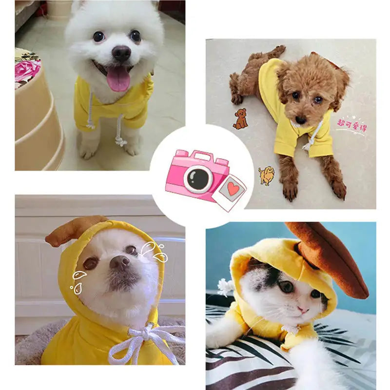 Cute Fruit Dog Clothes For Small Dogs Hoodies Winter Warm Fleece Pet Clothing Puppy Cat Costume Coat For French Chihuahua Outfit - Lootquake