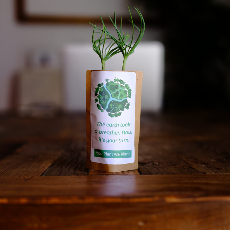 Take a Breather Tree