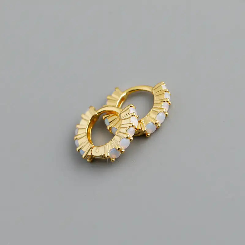 Circle-shaped Diamond Colorful Crystals Opal Zircon S925 Sterling Silver Earrings - Lootquake