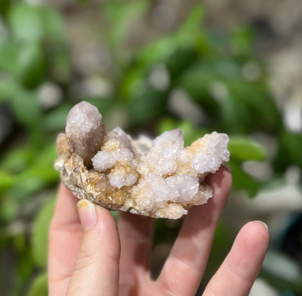 Spirit Quartz Points, Cactus Quartz Clusters, You Choose Size