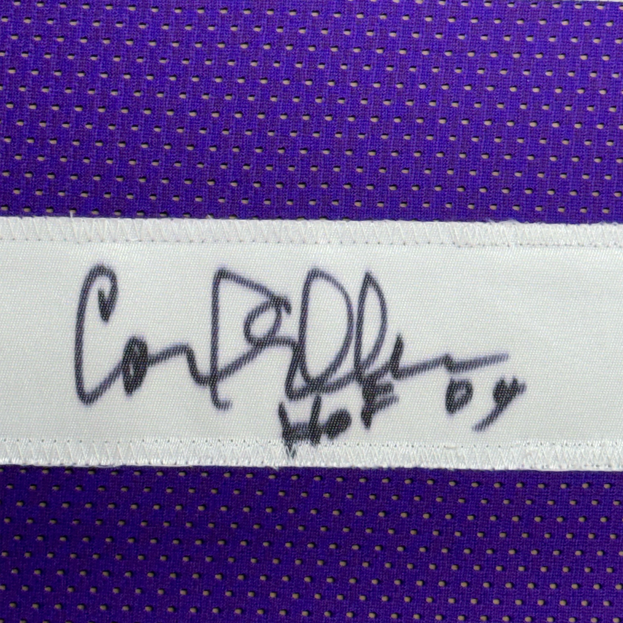 Framed Autographed/Signed Carl Eller HOF 04 35x39 Minnesota Vikings Purple Football Jersey JSA COA