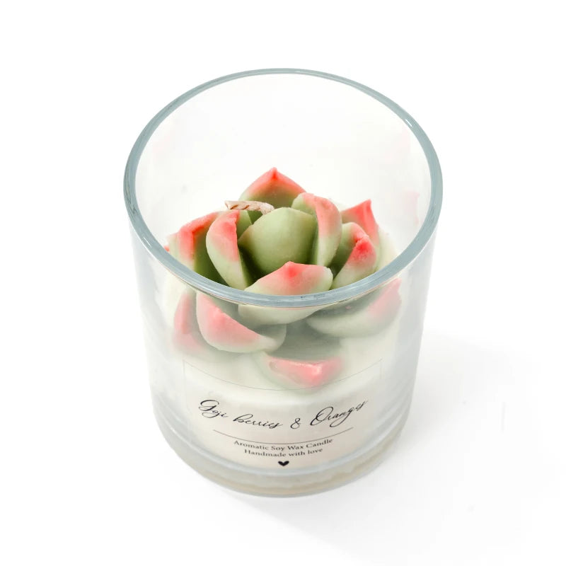 AIKUN 7.5oz Handmade Soy Wax Smokeless Aromatherapy Green Succulent Scented Candle for Desk Decor & Zen Garden Gift Set