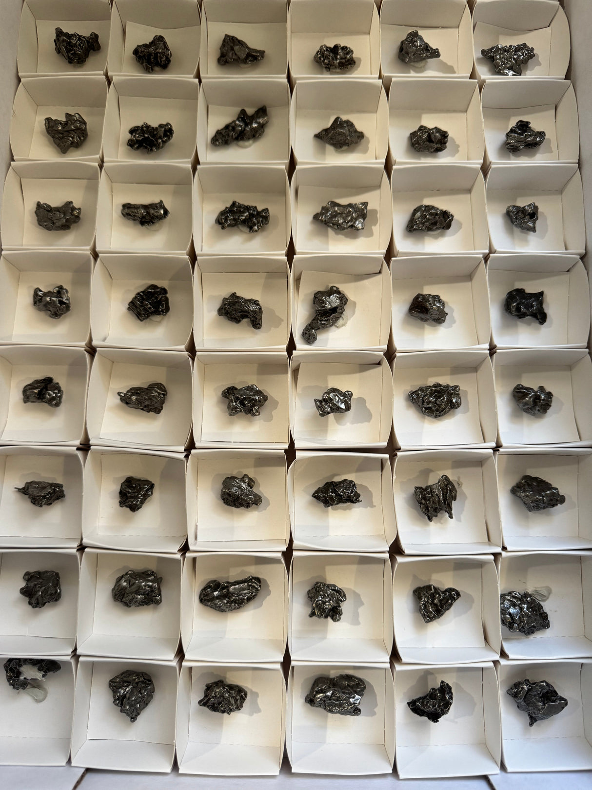 Especímenes de Meteorito Campo del Cielo, Espécimen de meteorito auténtico