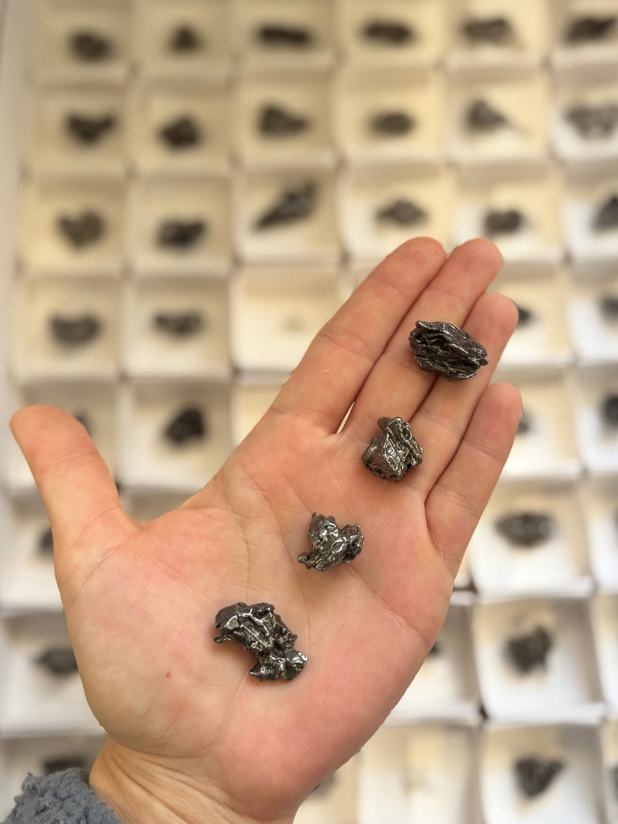 Especímenes de Meteorito Campo del Cielo, Espécimen de meteorito auténtico