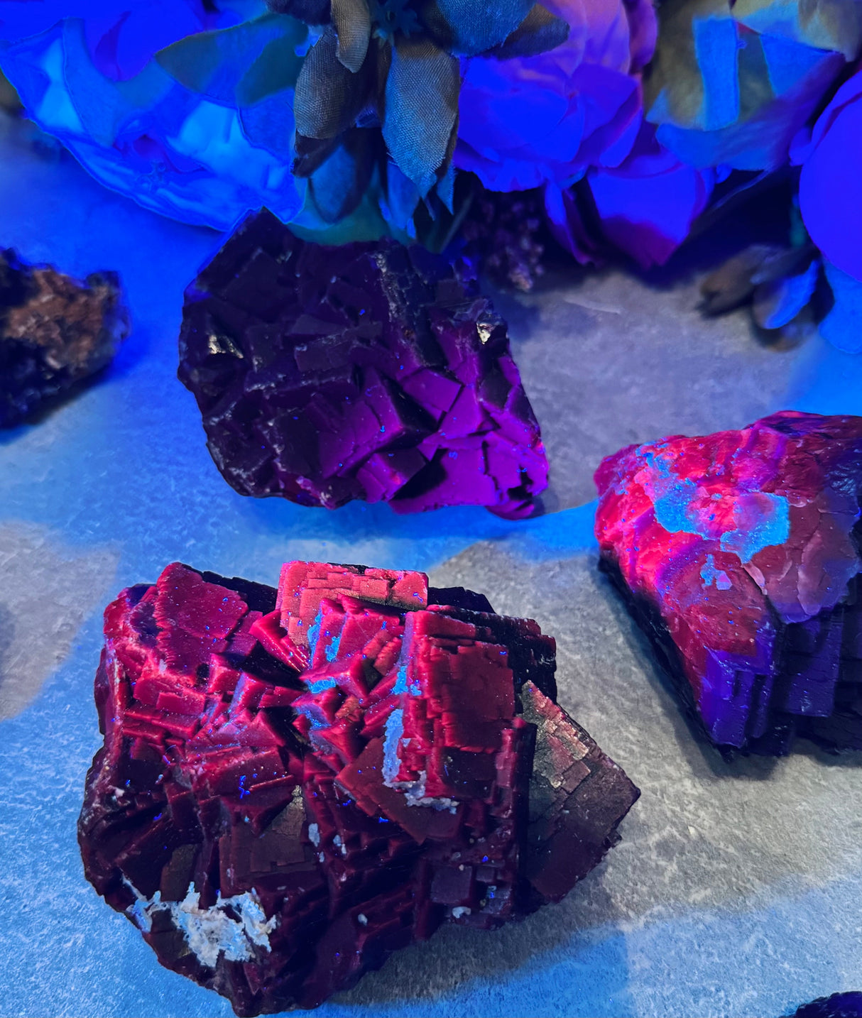 RARE Black Rose Fluorite Specimens, Fluoresce Red or Pink