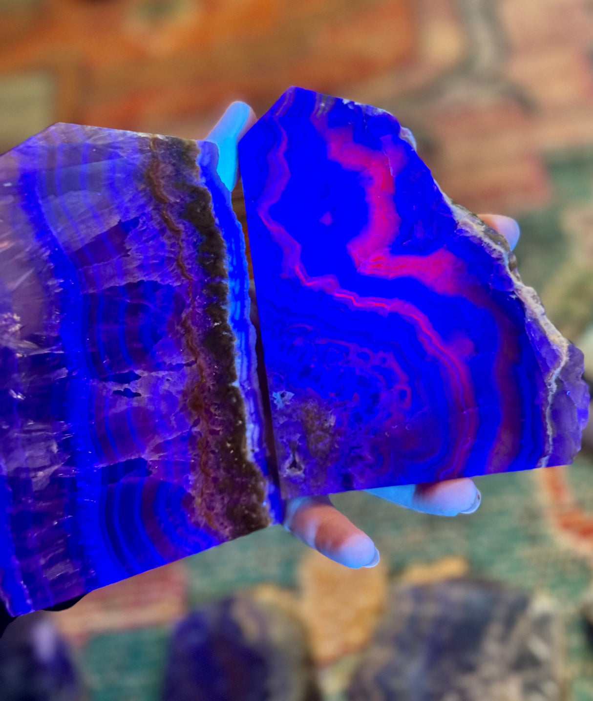 Stunning Fluorite Slices, Fluoresces Pink & Purple
