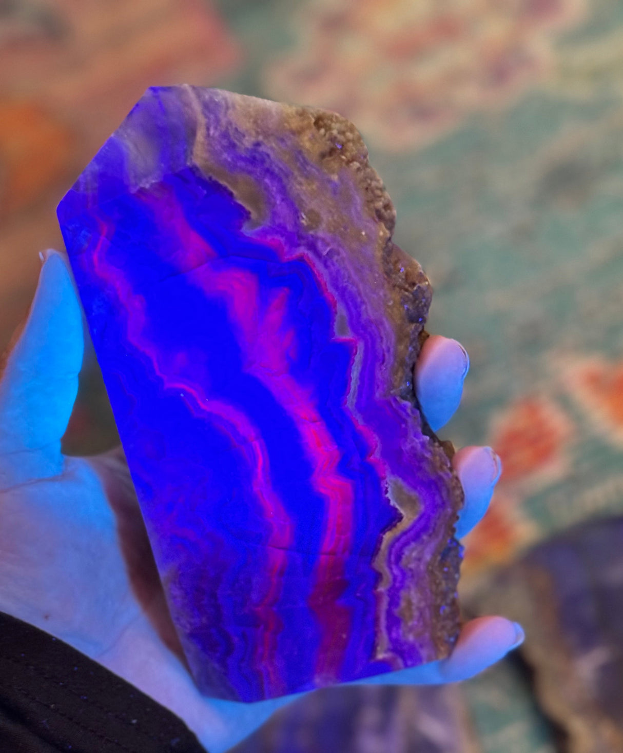 Stunning Fluorite Slices, Fluoresces Pink & Purple