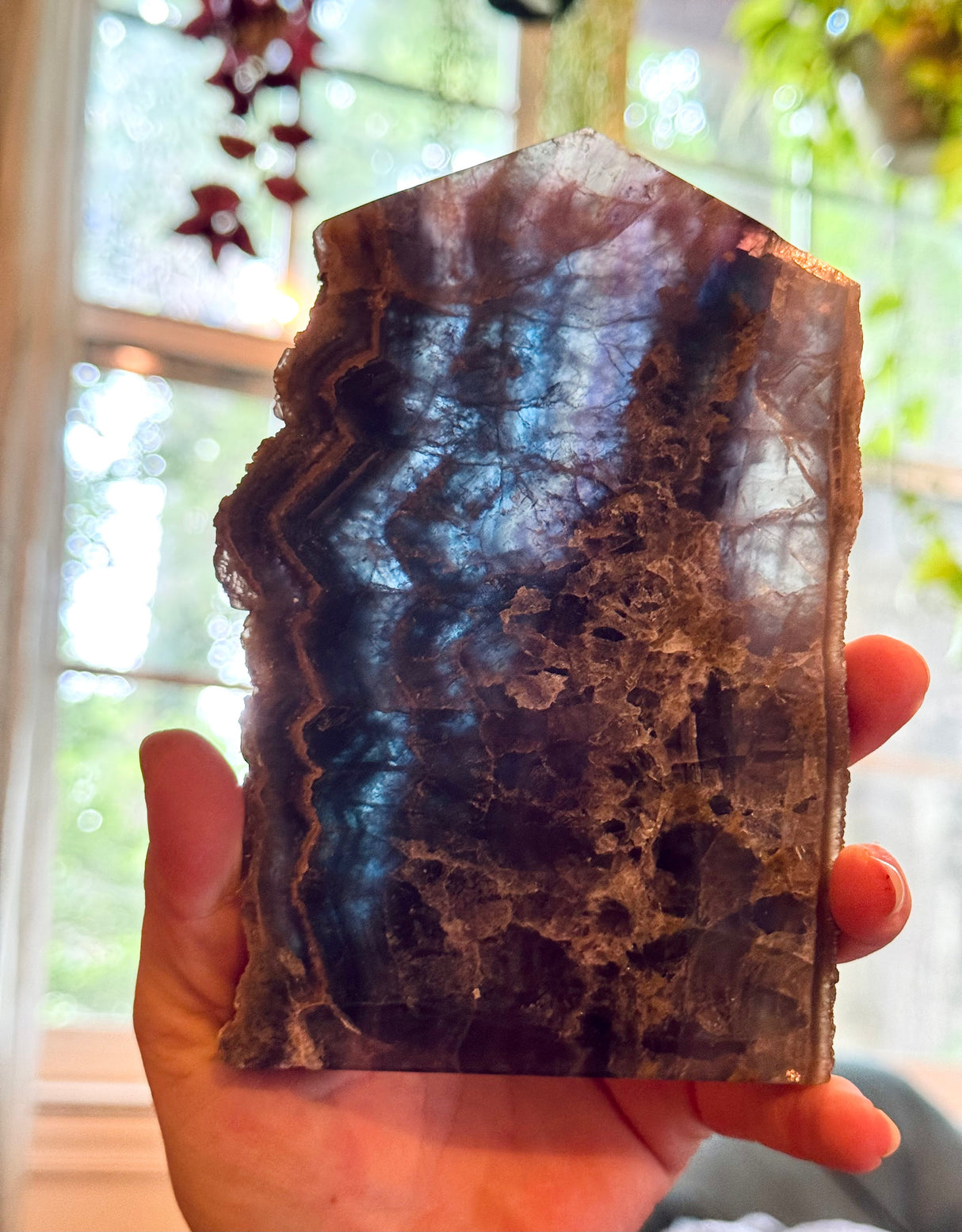 Stunning Fluorite Slices, Fluoresces Pink & Purple