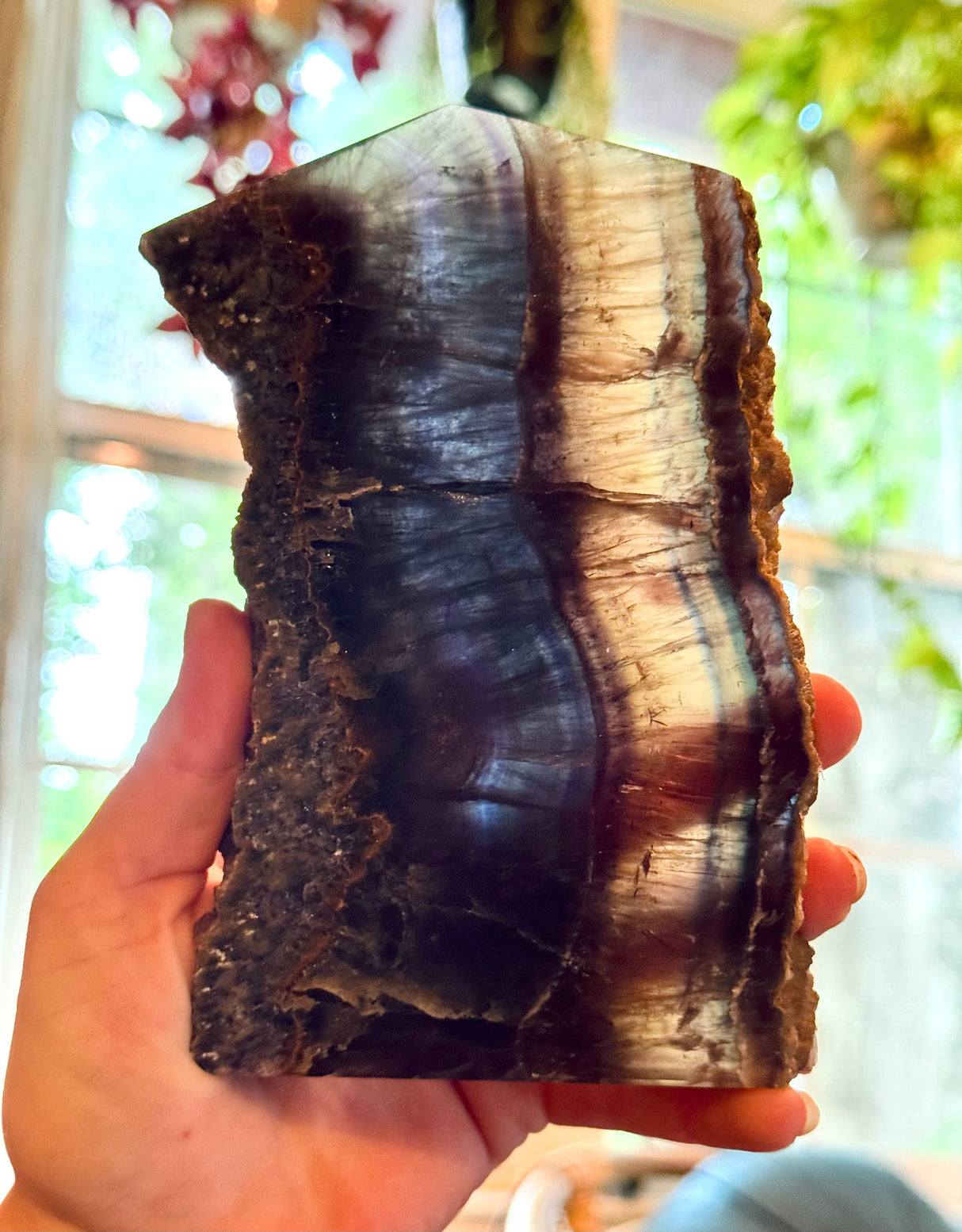 Stunning Fluorite Slices, Fluoresces Pink & Purple