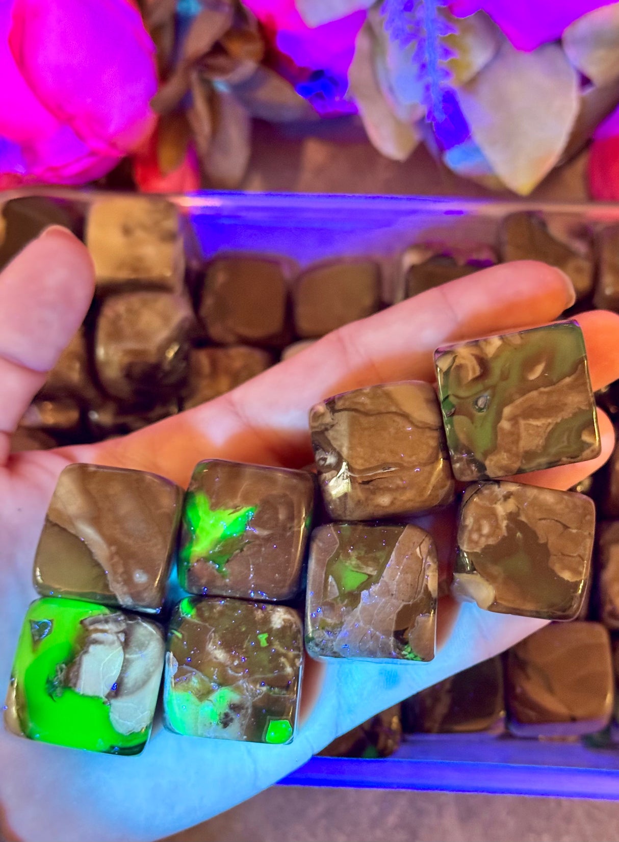 Cheap Volcano Agate Tumbled Cubes, UV Green Fluorescent Minerals