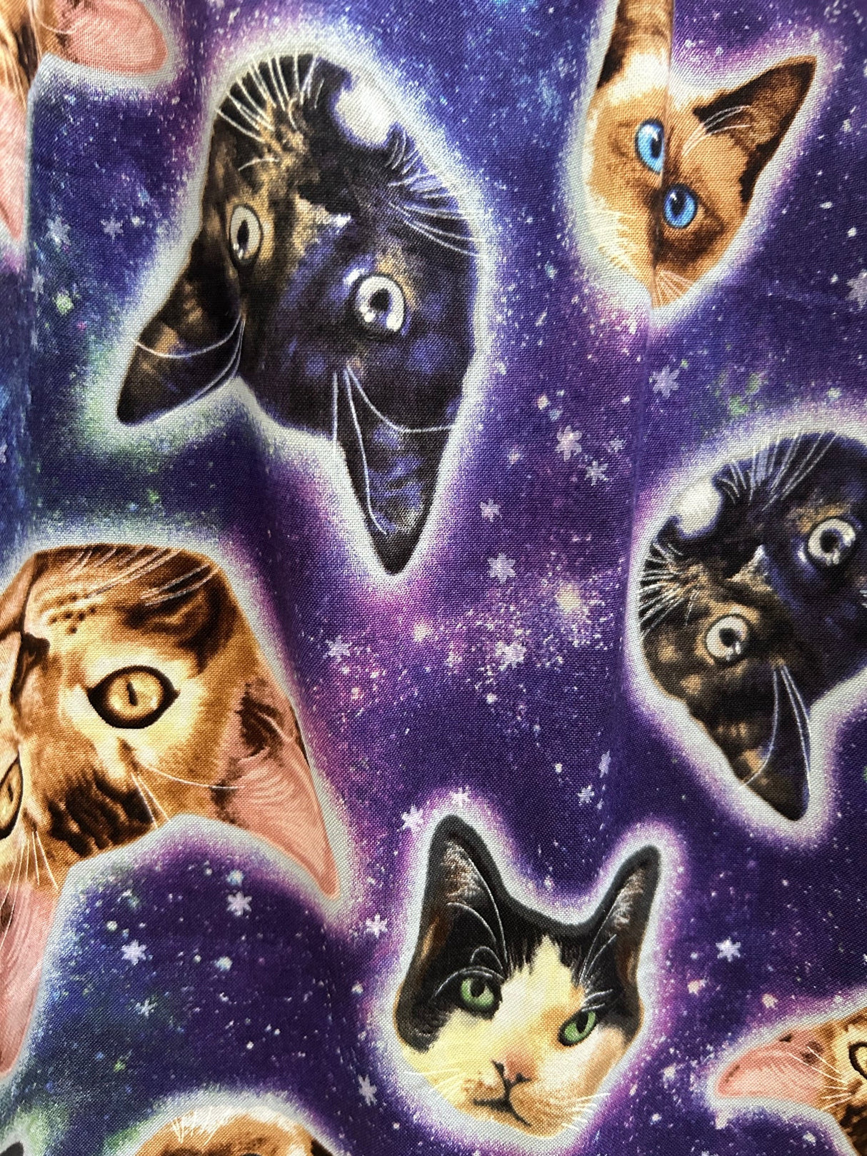 Vestido entallado y acampanado de largo corto Galaxy Cats (talla pequeña únicamente).