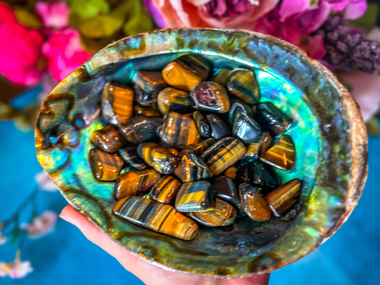 Large Gold Tigers Eye TUMBLED Stone, 1 Lb Bulk Bag, Wholesale Crystals