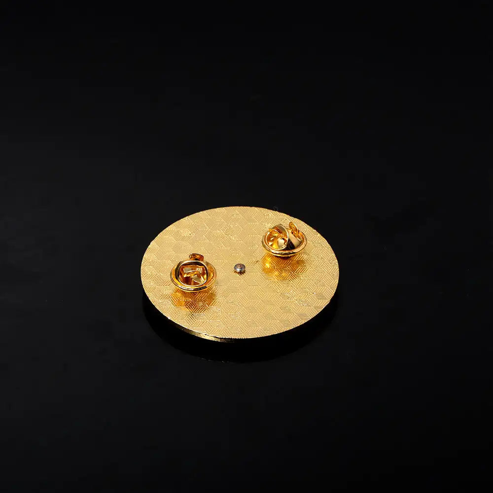 Daily Plural Select Rainbow Brooch Keychain - Lootquake