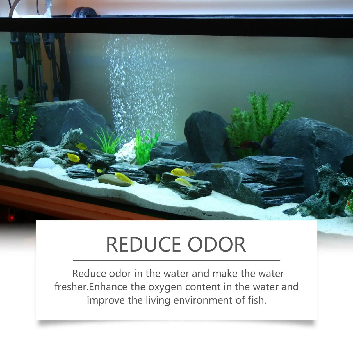 Fish Tank Water Quality Decontamination Cleaner - Lootquake