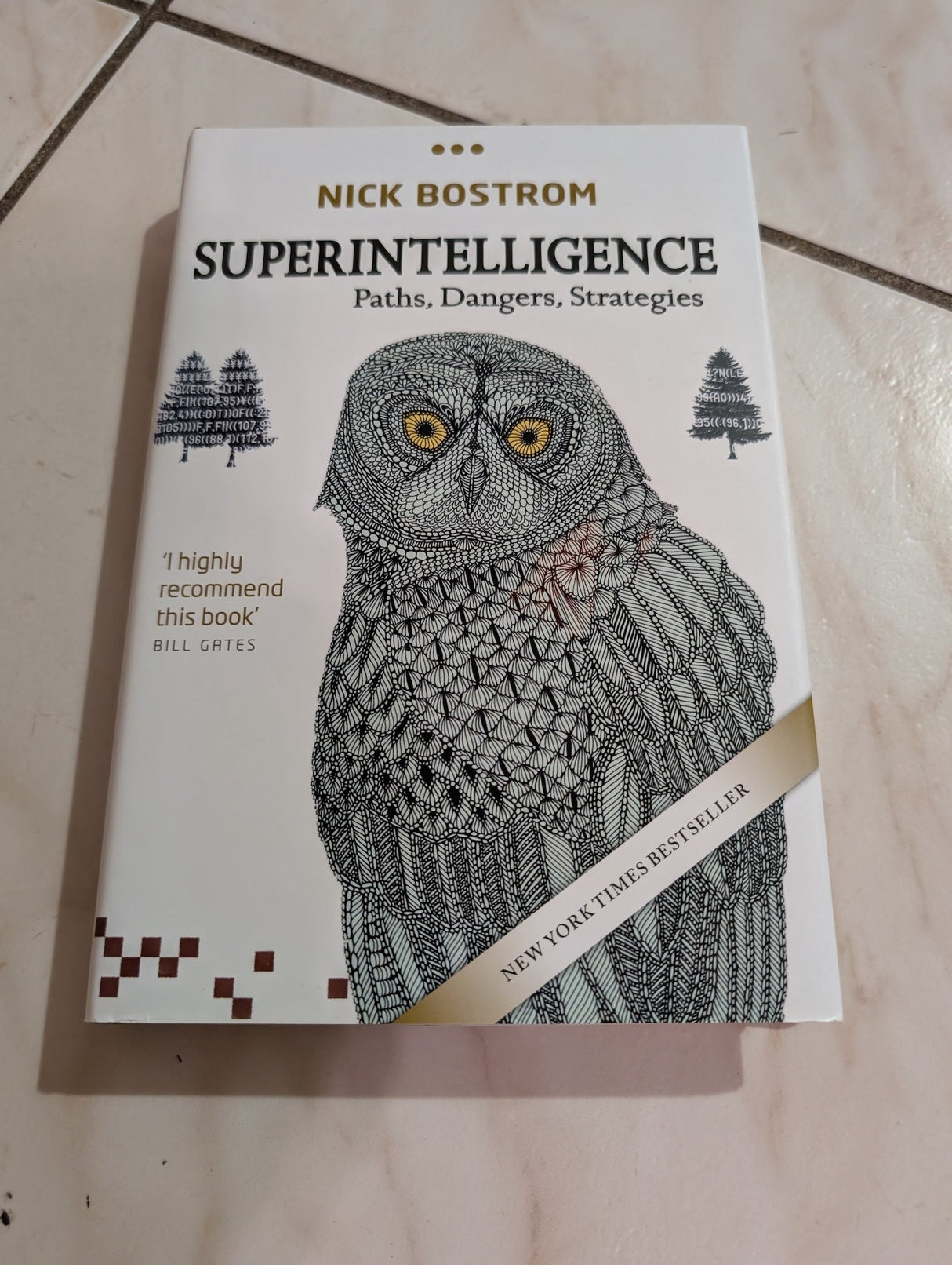 Superinteligencia: caminos, peligros y estrategias (libro de Nick Bostrom)