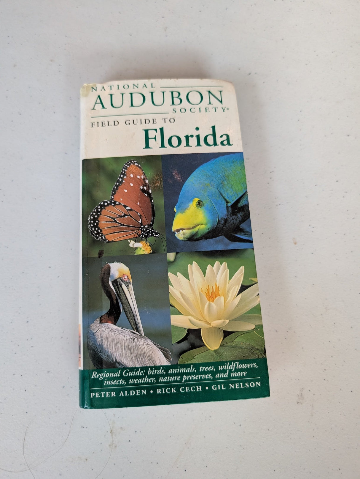 Guía de campo de la Sociedad Nacional Audubon de Florida: Guía regional: aves, animales, árboles, flores silvestres, insectos, clima, reservas naturales y más