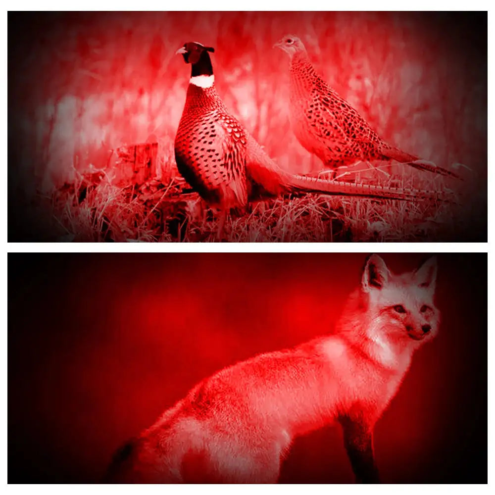 Headlamp Green/Red/UV395nm+White Dual Light Rechargeable Fixed Focus Waterproof 4Modes Headlight Hunting Camping Hiking Working - Lootquake