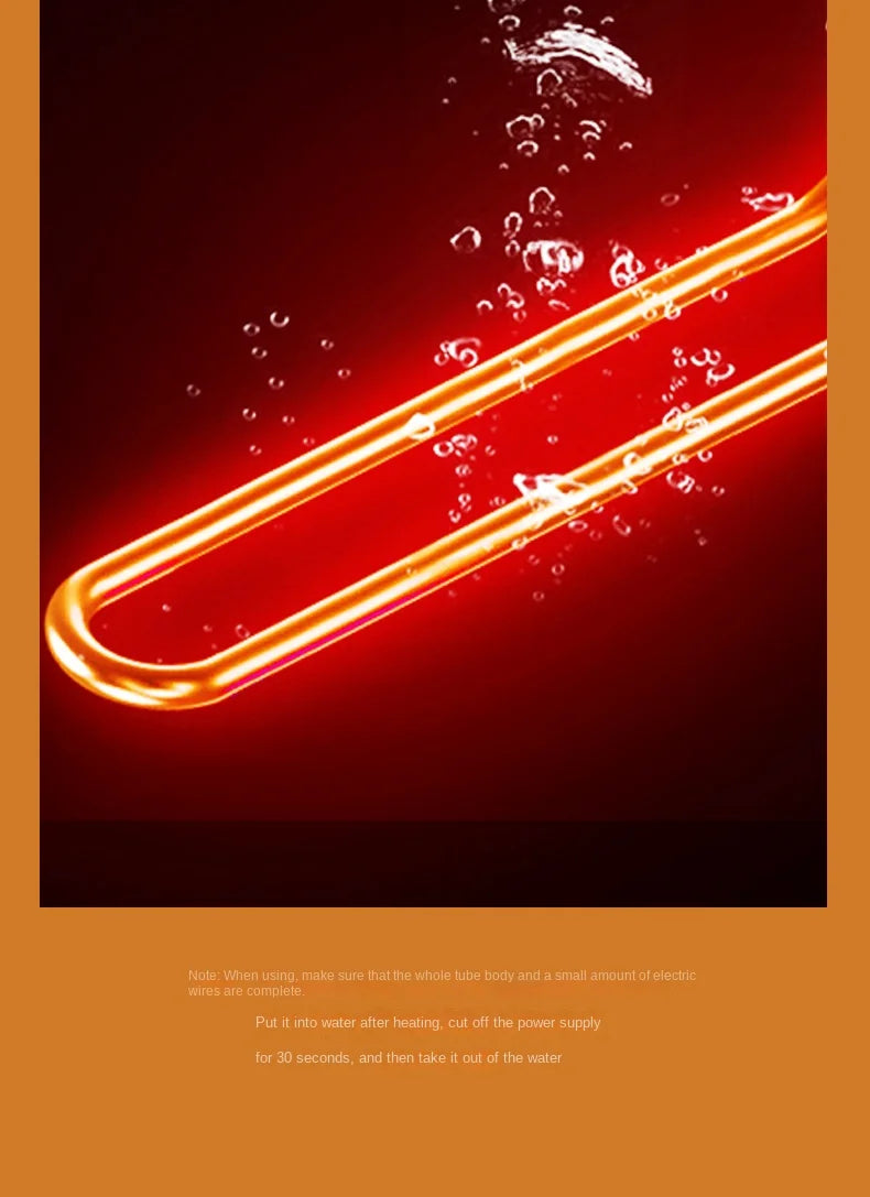 Chauffe-eau électrique portable 110 V/220 V, appareil de chauffage rapide