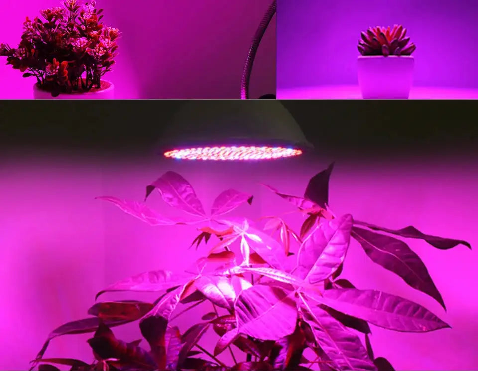 60/126/200 LED Grow Light Bulbs E27 Full Spectrum Grow Lamp Red Blue LED For Plants Indoor Hydro Flower Veg Grow Tent Phytolamp - Lootquake