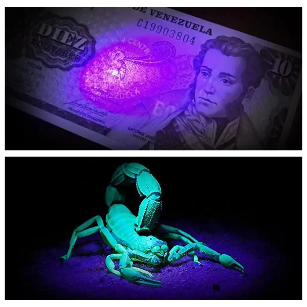 Headlamp Green/Red/UV395nm+White Dual Light Rechargeable Fixed Focus Waterproof 4Modes Headlight Hunting Camping Hiking Working - Lootquake